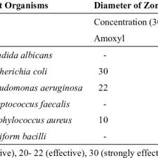 Image result for Landolphia landolphioides
