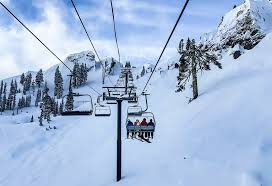 Ce criquet a été élevé en indonésie et ainsi offre une activité économique durable aux habitants des zones forestières. Covid 19 En Italie Les Stations De Ski Rouvrent Le 15 Fevrier