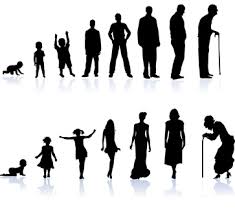 Image result for Geriatric Links