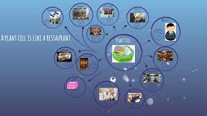 The problem is that the items in the analogy are too dissimilar. Plant Cell Analogy By Kiley Chambers