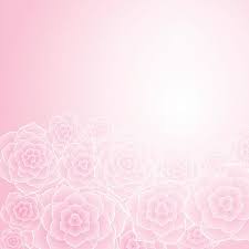 Shallow focus photo of pink flower. Beautiful Pink Rose Flower Background Clipart Image