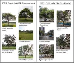 Maybe you would like to learn more about one of these? Variability Of In Situ Plant Species Effects On Microclimatic Modification In Urban Open Spaces Of Nairobi Kenya