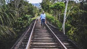 Recorrerá una distancia de 1,500 km aproximadamente y pasará. Mexiko Hundertausende Fordern Aussetzung Des Tren Maya Projekts Amerika21