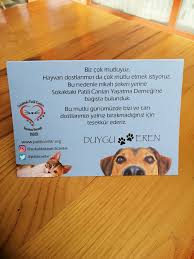 Nikah Sekeri Yerine Bagis Pader