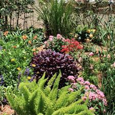 Maybe you would like to learn more about one of these? 12 Plants That Thrive In The Sun How To Make A Beautiful South Florida Flowerbed Dengarden