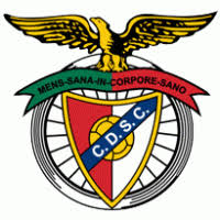 Clube desportivo cova da piedade is a football club established in the parish of cova da piedade, municipality of almada, portugal. Clube Desportivo Cova Da Piedade Brands Of The World Download Vector Logos And Logotypes
