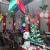 Australia Christmas Bush