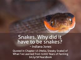 Why'd it have to be snakes? from classic adventure movie 'raiders of the lost ark', first chapter of the 'indiana jones' series. Indiana Jones Quote Randy Frazier