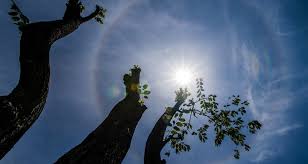 Also a cirrostratus cloud is a stratus type cloud in the high. What S A Sun Halo Farmers Almanac
