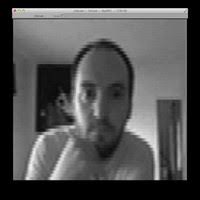 Daniel Christopher Miedema Email & Phone Number