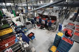Scherpenhuizen is an australian artist, writer and academic. Nederlands Megadistributiecentrum Voorziet Heel Europa Van Paprika S Economie Ad Nl
