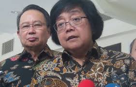 Waspada, Banyak Ikan Laut Terkontaminasi Sampah Plastik Halaman all