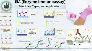 EIA (Enzyme Immunoassay) | Lab Tests Guide