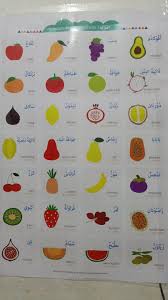 Bahasa arab anggota tubuh : Poster Pendidikan Anak Muslim Buah Buahan 3 Bahasa Inggris Arab Dan Indonesia Shopee Indonesia