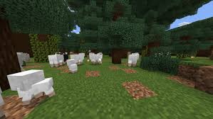 Jun 14, 2020 · introducing our hide and seek map! Hide And Seek Morph Minecraft Pe Maps