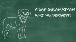 Perbuatan raju menolong pemandu kereta yang rosak itu bagai melepaskan anjing tersepit apabila pemandu itu merompaknya. Melepaskan Anjing Tersepit Youtube