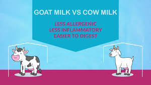 Goat milk formula can be given to babies as it is has vital micronutrients. Danalac Goat Baby Milk Benefits Of Goat Milk Formulas Infant Follow On Growing Up Formula Youtube