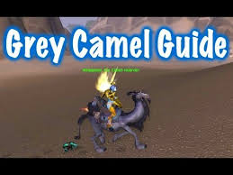 You can find the skins'. Grey Camel The Camel Hoarder Title Guide World Of Warcraft Youtube