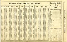 Gestation Period Pig Gestation Gestation Period Sheep Pig