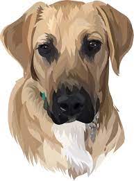  Pin By Sherri Seale On Pets Vector Watercolor Dog Animal Paintings Dog Paintings