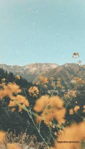 Vintage Aesthetic Wallpaper Collage 297110 Hd Wallpaper Backgrounds Download Find images of vintage wallpaper. vintage aesthetic wallpaper collage