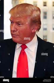 Pekingese malachy hi-res stock photography and images