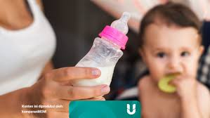 Misalnya saja, bayi mengalami kondisi seperti flu, maka si kecil akan sedikit kesulitan bernafas. Berapa Lama Susu Formula Dapat Bertahan Setelah Dibuat Kumparan Com