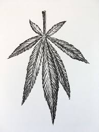 Cast your line and get ready reel in a big catch! Pencil Drawing How To Draw A Weed Leaf Novocom Top