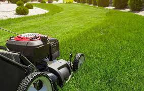 The things we plant nerds do just to see if we can get it to grow!! Lawn Yard Maintenance In Asheboro Nc Go Forth Pest Control
