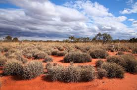 The Great Victoria Desert