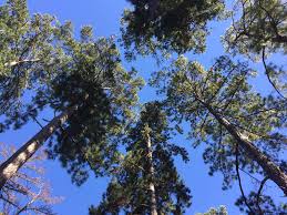 Profile for Leach Family Reunion