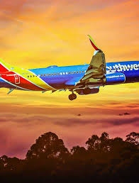 Image result for Azul Sky 1985 Fleet