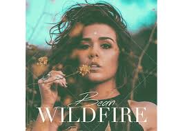 The Huffington Post Premieres Singer-Songwriter Bean's "Wildfire"