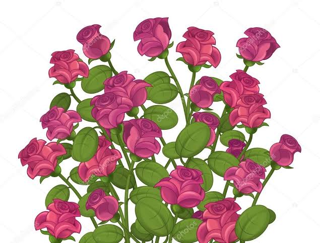 Resultado de imagem para rosas animadas"