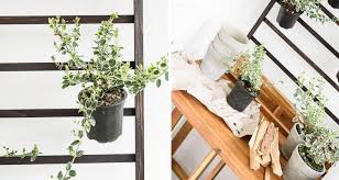 Welche Balkonpflanzen Mogen Es Sonnig Welche Lieben Den Schatten Balkon Pflanzen Pflanzen Pflanzen Schatten