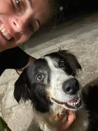 Diamo il benvenuto ai nostri nuovi membri! Angelo Lucia, Walter Arcuri,  Anna Dispirito, Rosanna Lavarini, Giuseppe Locatelli, Vallì Laurini,  Michele Giusti, Antonia Iannucci, Martina Mellacca, Giuseppe Simola,  Giorgio Lupo, Salvatore Caramazza, Stefano