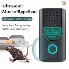 Kalau nak beli barang barang rumah yang comel, dan menarik, boleh beli di pockethome.stuff. Tikus Mondok In English
