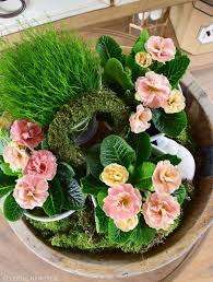 Mein Neuer Liebling Gefullte Primel Oder Die Rose Unter Den Primeln Mrs Greenery Naturlich Dekorieren Blumenarrangements Blumengestecke