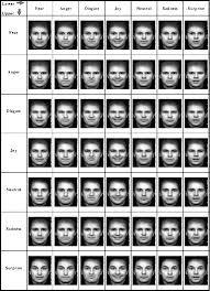 Paradigmatic Micro Expressions Chart 2019