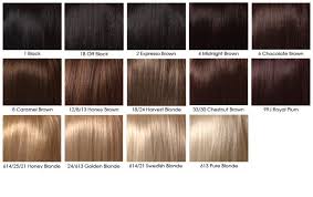 Black Hair Color Chart Brown Hair Color Chart Honey Brown Hair Color Honey Brown Hair