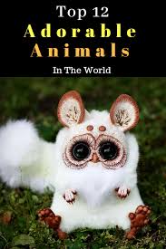 Top 12 Adorable Animals In The World Cute Animals Animals Animals Beautiful