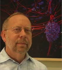 DEIB (Diversity, Equity, Inclusion, Belonging) Committee