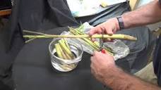 Growing Lemongrass from the grocery store - YouTube