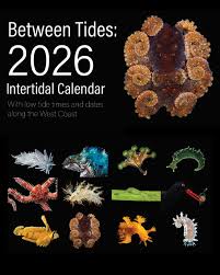 Image result for Liparis nyikana