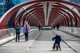 That covers retail stores, building lobbies, taxis and public transit. City Of Calgary Report Shows 89 Of Residents Following Mask Bylaw Calgary Globalnews Ca