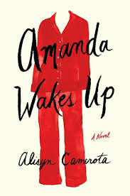 Amanda Wakes Up: Camerota, Alisyn: 9780399563997: Amazon.com: Books