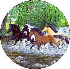 Tire Cover Central Horses Black Vinyl Select Size Camera In Menu 265 70r17 Walmart Com In 2021 Tire Cover Spare Tire Covers Custom Tire Covers
