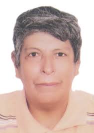 Ingresos de Otorongos Elecciones 2022