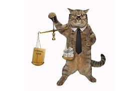 They called the kittens, the mice. Pet Food Lawsuits Target Trigger Terms In Marketing Petfoodindustry Com