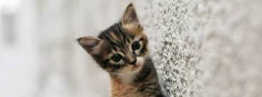 Macam orang gila dia bertanya awak dah kat mane awak buat apa jadi begini jalan ceritanya (kau dengar ni) lain kali coba berdikari bererti tak perlu call aku lagi cobalah kau fikir. Awak Kat Mana Posts Facebook